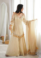 Doremon Crush Mirror Work Top Palazzo Set | Lace Border Dupatta