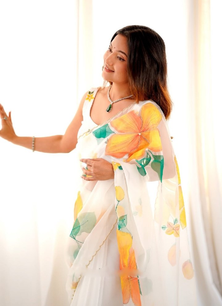 Organza Silk Printed & Handwork Ready To Wear Saree | Stitched Blouse | Multi