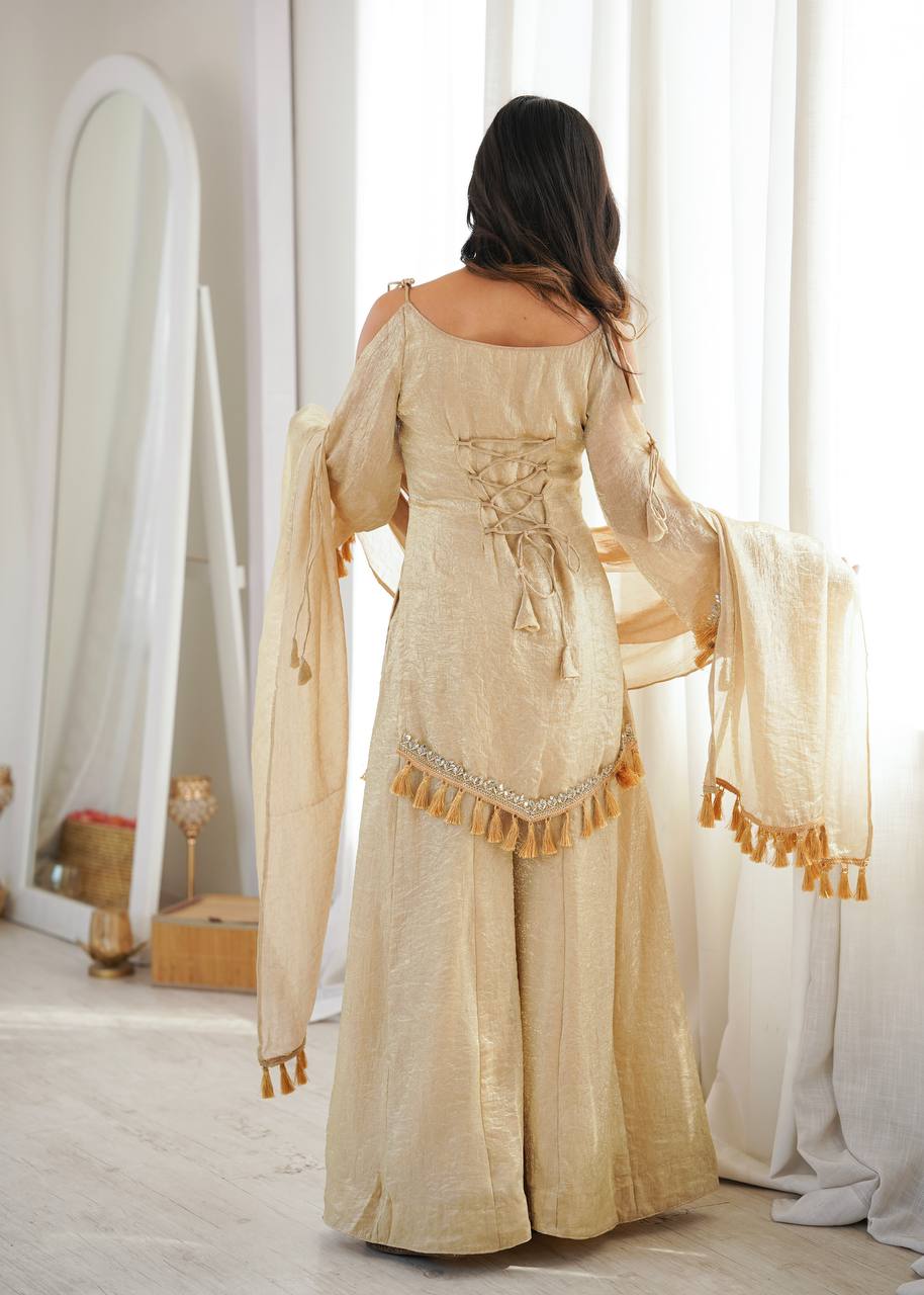 Doremon Crush Mirror Work Top Palazzo Set | Lace Border Dupatta
